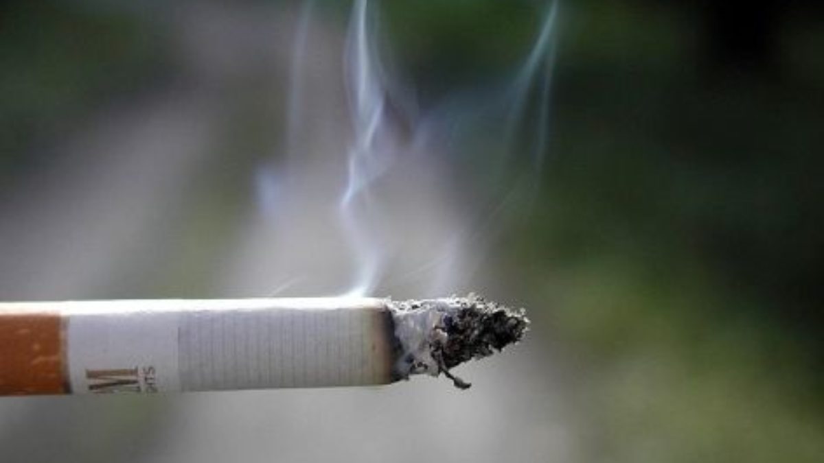 cigarette pickup lines Because love can burn like a cigarette Poster