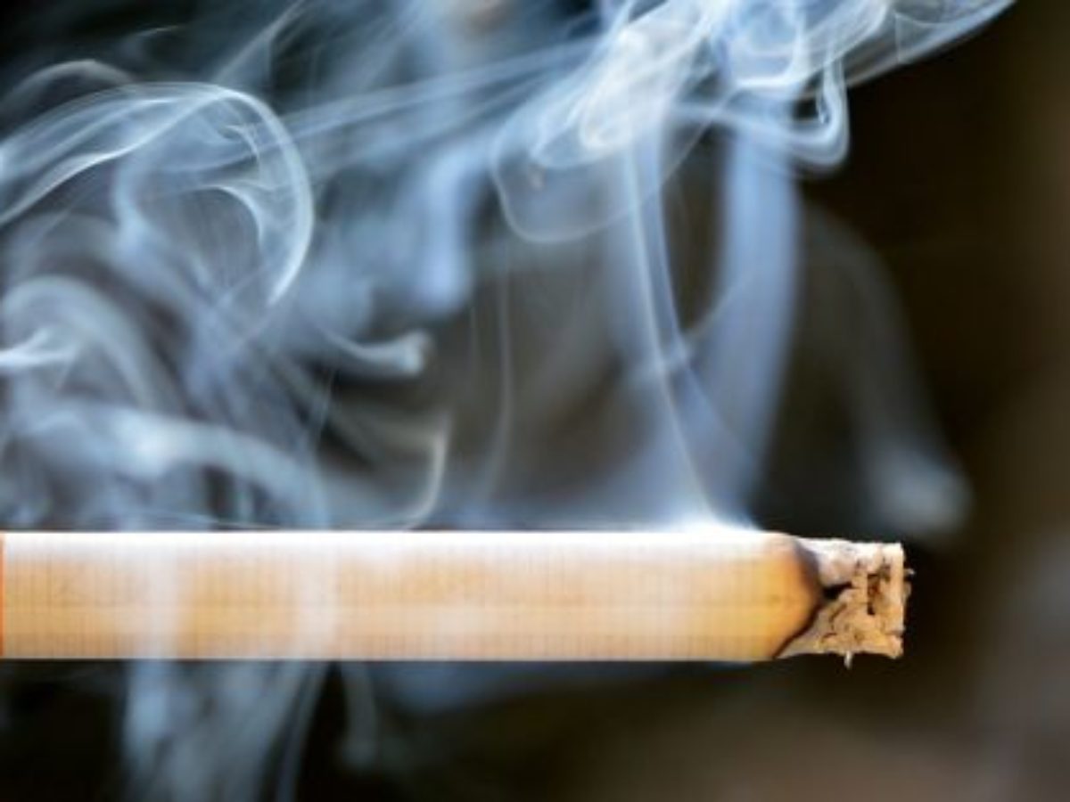 is cigarette ash good for plants 🚭 A Friendly Reminder- Please help us keep our pharmacy and community  clean by not throwing cigarette butts on the ground. Cigarette butts are  litter, and they quickly add up around our