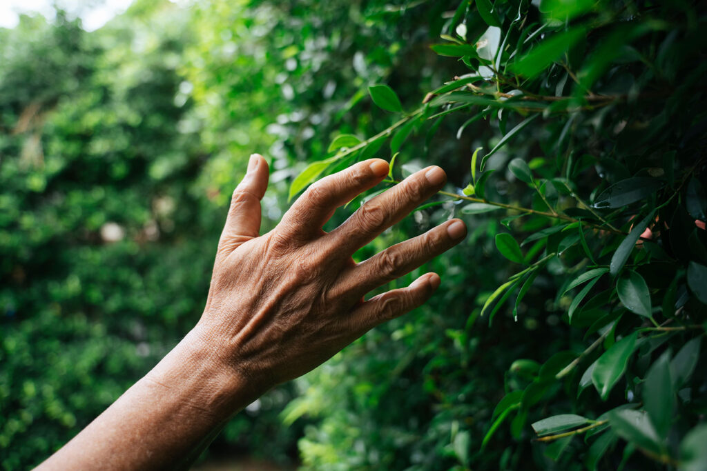 Hand of a person wondering, "Is cannabidiol addictive?"